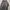 Jaket Hiking Trespass Pria Warna Hitam Kombinasi Abu Oranye photo 2