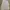 LANVIN Casual Shirt Wanita white photo 1