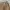 CORDUROY PANTS BAGGY - PARISY photo 5
