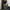 CARGO JORTS PANTS AKADEMIKS photo 1