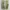 CARGO PANTS EXAVER ARMY MULTIPOCKET photo 4