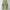 CARGO PANTS EXAVER ARMY MULTIPOCKET photo 3