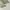 CARGO PANTS EXAVER ARMY MULTIPOCKET photo 6