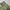 CARGO PANTS EXAVER ARMY MULTIPOCKET photo 8