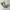 CARGO PANTS EXAVER ARMY MULTIPOCKET photo 5