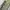 CARGO PANTS EXAVER ARMY MULTIPOCKET photo 7