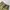 CARGO CARPENTER DOUBLE LAYER photo 6