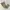 CARGO CARPENTER DOUBLE LAYER photo 5