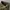 CARGO CARPENTER DOUBLE LAYER photo 7