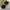 CARGO CARPENTER DOUBLE LAYER photo 8