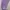 H&M jogger purple  photo 5
