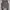 vest korean school photo 1
