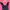 crop kutung renda photo 1