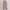 Adidas x Blackpink Lisa RYV Track Pants Nylon Side Button  photo 1
