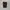 Dickies carpenter shortpant photo 1