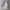 Jas Christian Dior - Size S photo 1