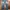 Fadding pants jeans

 photo 4