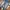 Fadding pants jeans

 photo 3