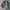 Jas Marks & Spencer - Size XL photo 1