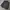 Jas G2000 Man - Size XL photo 2