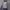 Jas / Blazer Benjamin Barker - Size M photo 5