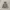 Discovery Expedition Windbreaker Jacket photo 6