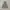Discovery Expedition Windbreaker Jacket photo 1