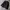 Jas Zara Man - Size S - Black photo 1