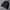 Jas Zara Man - Size S - Black photo 3