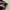 Trackpanst Adidas FireBird X Vintage photo 3