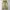 CARGO PANTS EXAVER photo 3