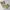 CARGO PANTS EXAVER photo 5