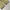 CARGO PANTS EXAVER photo 8
