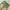 CARGO PANTS EXAVER photo 6