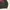 HOODIE DICKIES VELVET 22 photo 5