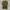 Nike Big Logo Olive photo 3
