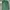 Polo shirt Longsleves Ralph Lauren Pocket photo 1