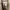 Jaket Trench Coat  Bershka