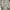 Jaket Trench Coat  Bershka