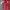Polo shirt CALLAWAY X Series photo 1