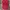 Polo shirt Ralph Lauren Merah Big Logo photo 1