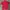 Polo shirt Ralph Lauren Merah Big Logo photo 6