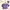 Purple Crop Top