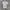 Blackyak Baselayer photo 2
