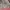 Outer photo 1