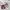 Pocket Mirror / Cermin Saku Korea / Cermin Travel Size  photo 2