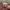 Airpods 4 ANC Active Noise Cancelling no Box photo 1