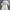 Frank Stone Casual Sportswear Sweater Pria white navy photo 4