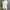 Fluke Skateboard Skater Sweater Pria cream tan photo 5