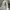 DISCOVERY EXPEDITION Original Windbreaker / Parka Outdoor photo 3